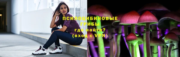 соль ск Алексин