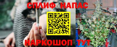 твердый Заводоуковск