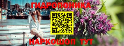 spice Жуковский