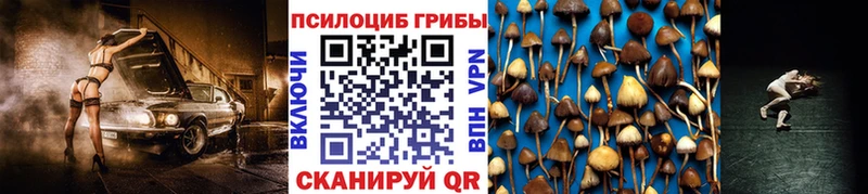 mega вход  Нурлат  Псилоцибиновые грибы Magic Shrooms 