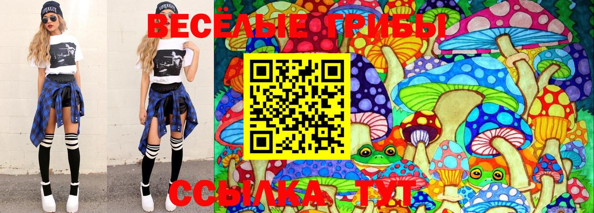 Нурлат  Галлюциногенные грибы GOLDEN TEACHER  Вход с VPN 