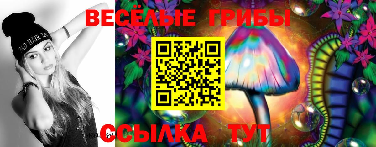 Псилоцибиновые грибы GOLDEN TEACHER Нурлат